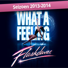 Flashdance de Musical